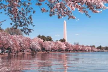 The best TikToks of Washington DC: Things to do in Washington