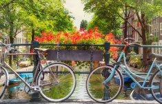 A Guide to Amsterdam Pride