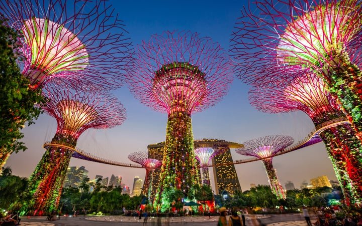 Singapur Superdrzewa nocą