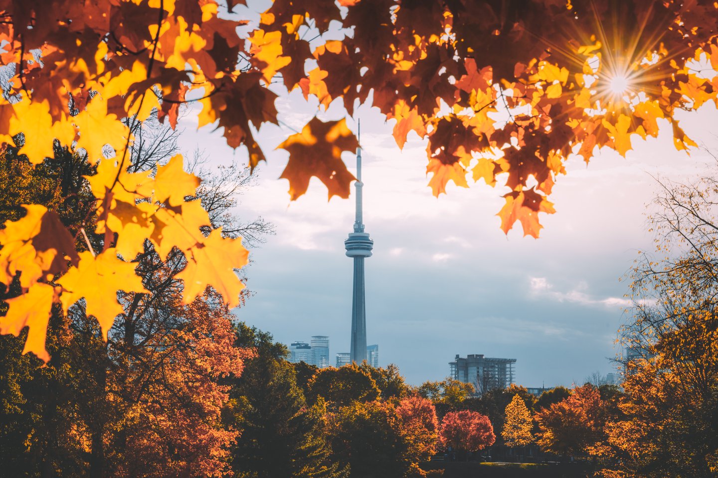 Toronto in the fall