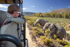 Cape Town Gay Tours