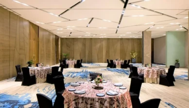 Radisson Blu Mumbai International Airport