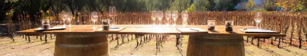 Wine Tours
