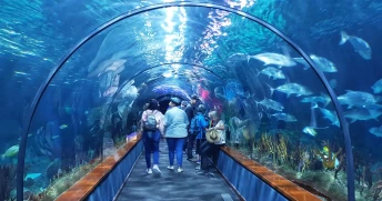 loro parque tenerife