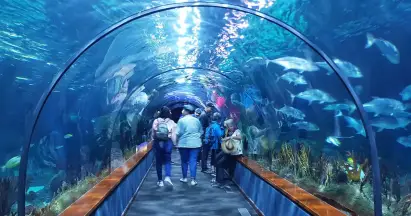 loro parque tenerife