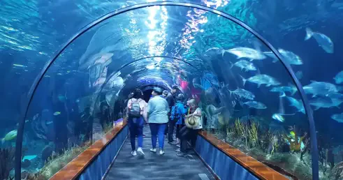 loro parque tenerife