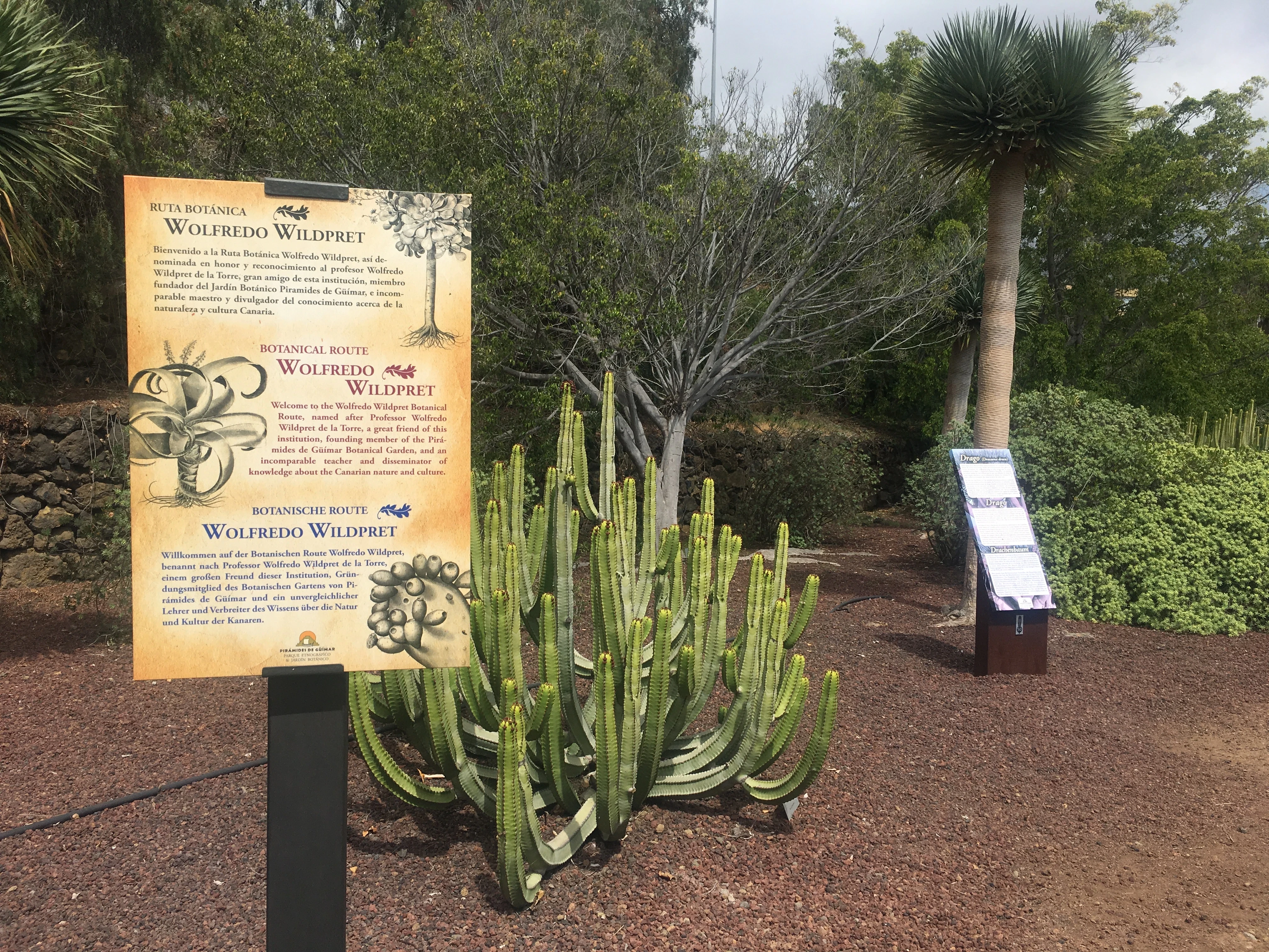 Pyramids of Güímar Ethnographic Park and Botanical Garden