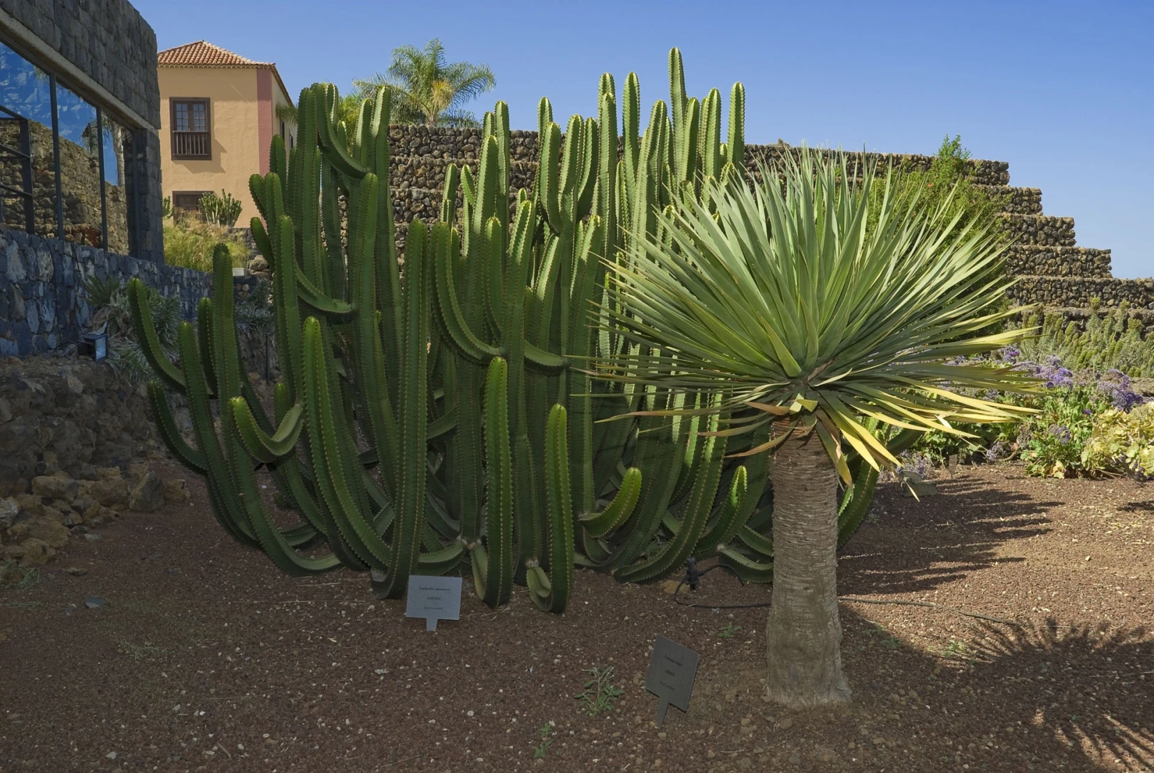 Pyramids of Güímar Ethnographic Park and Botanical Garden