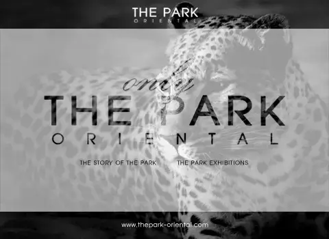 The Park