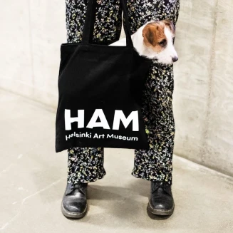 Helsinki Art Museum HAM
