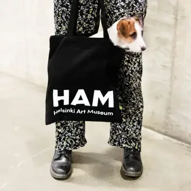 Helsinki Art Museum HAM