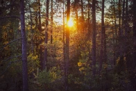 4 Seasons in Finland