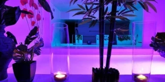 Le Container Gay Sauna Bourdeaux relaxing image
