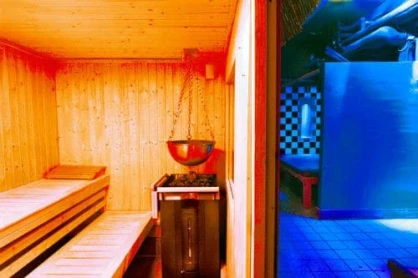 Pluto Sauna