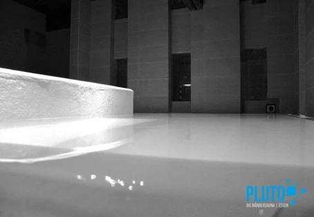 Pluto Gay Sauna Essen Pool