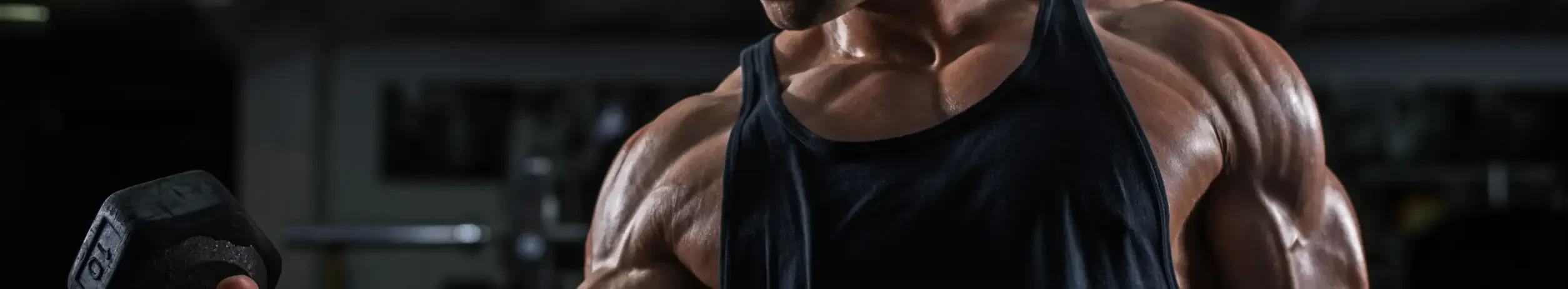 Academias gays em Ibiza