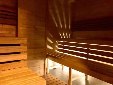 Sauna David