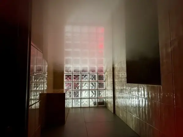 Sauna David