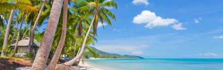 Koh Samui Gay Tours & Activities