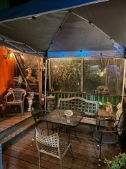 The Wild Side West, San Francisco - lesbian bar