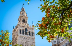 Day 1: Seville Day 1: Seville