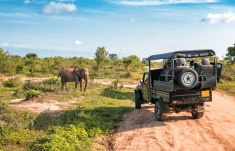 Viagem em grupo gay: Safari de luxo na África