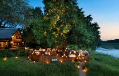 Dia 8: Sabi Sands