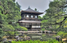 Gay Group Trip: Adventures in Japan