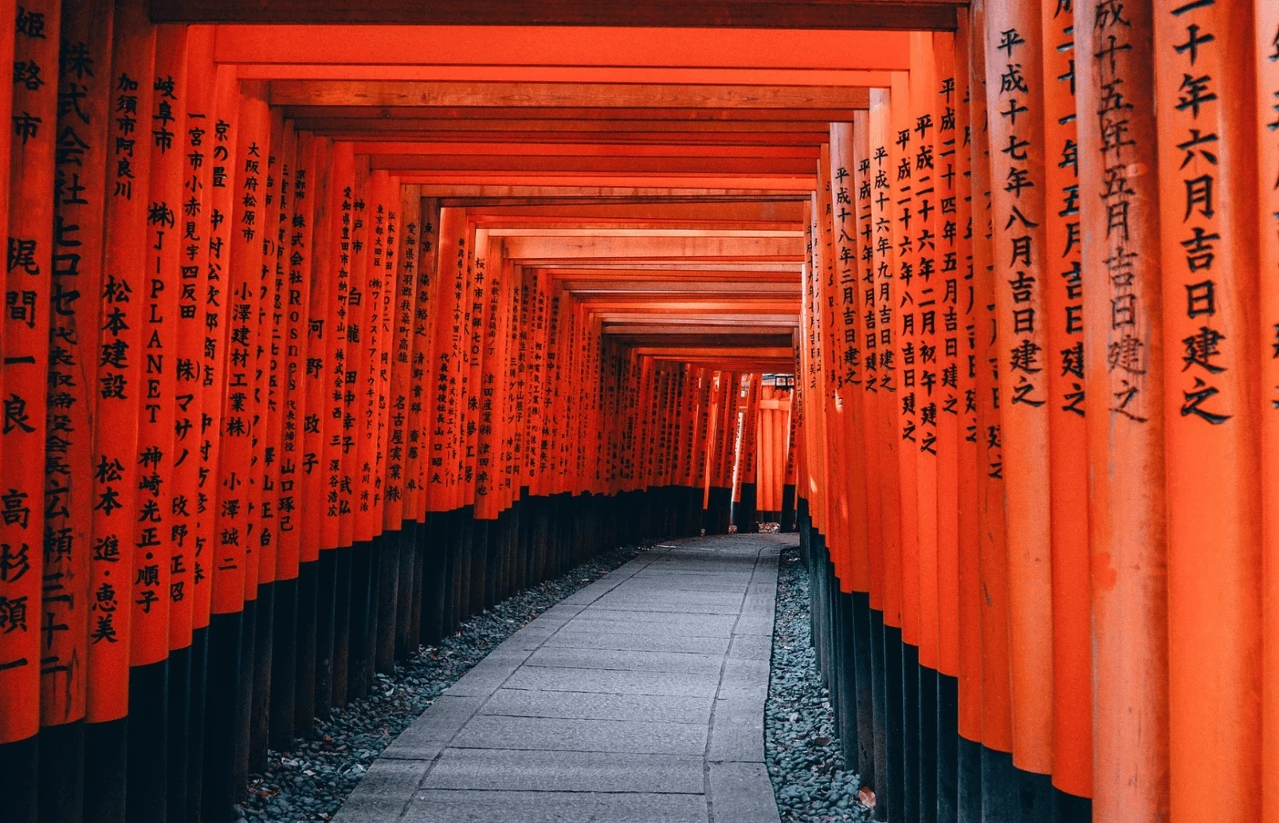 Gay Group Trip: Adventures in Japan