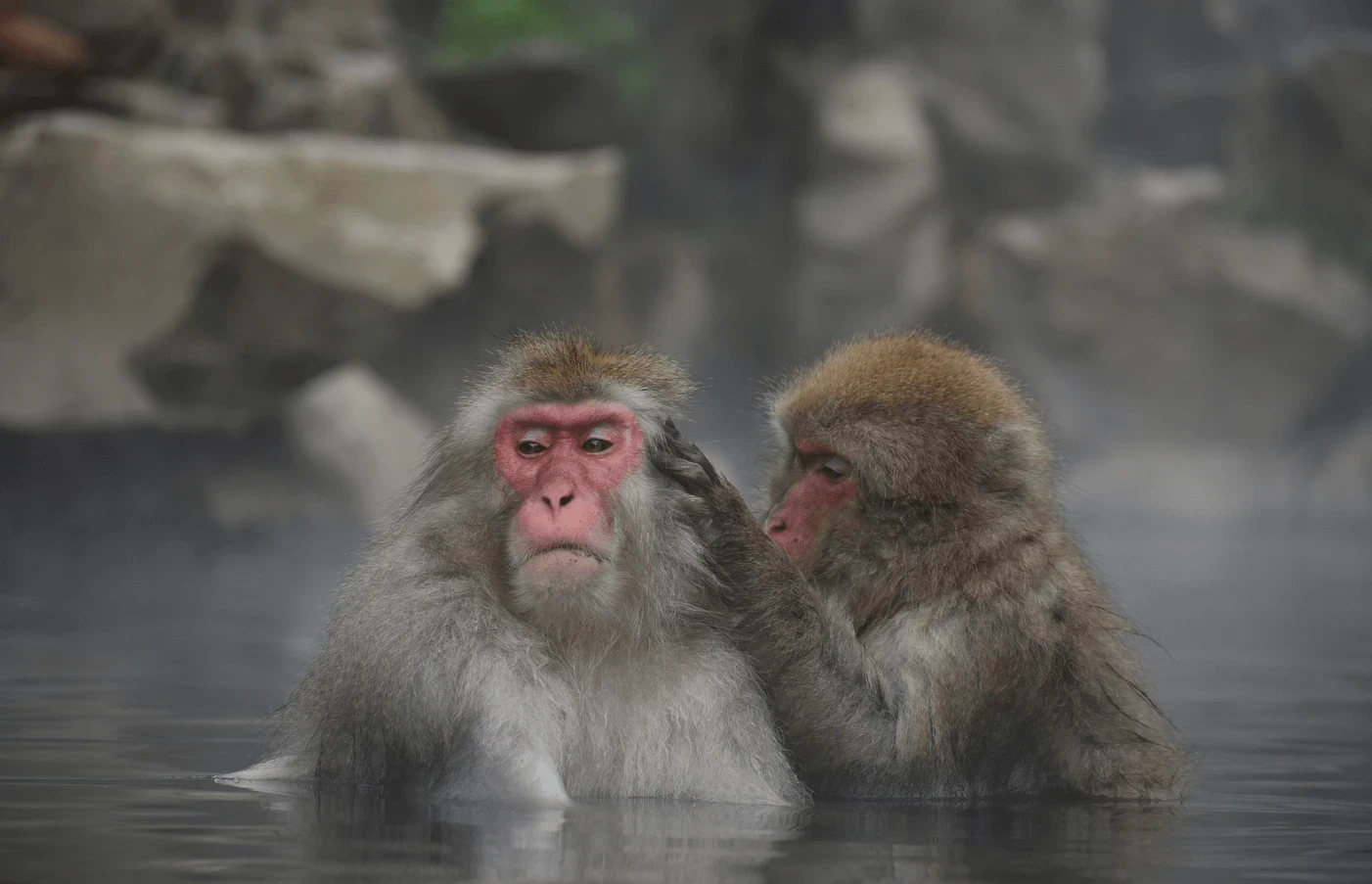 Gay Group Trip: Adventures in Japan