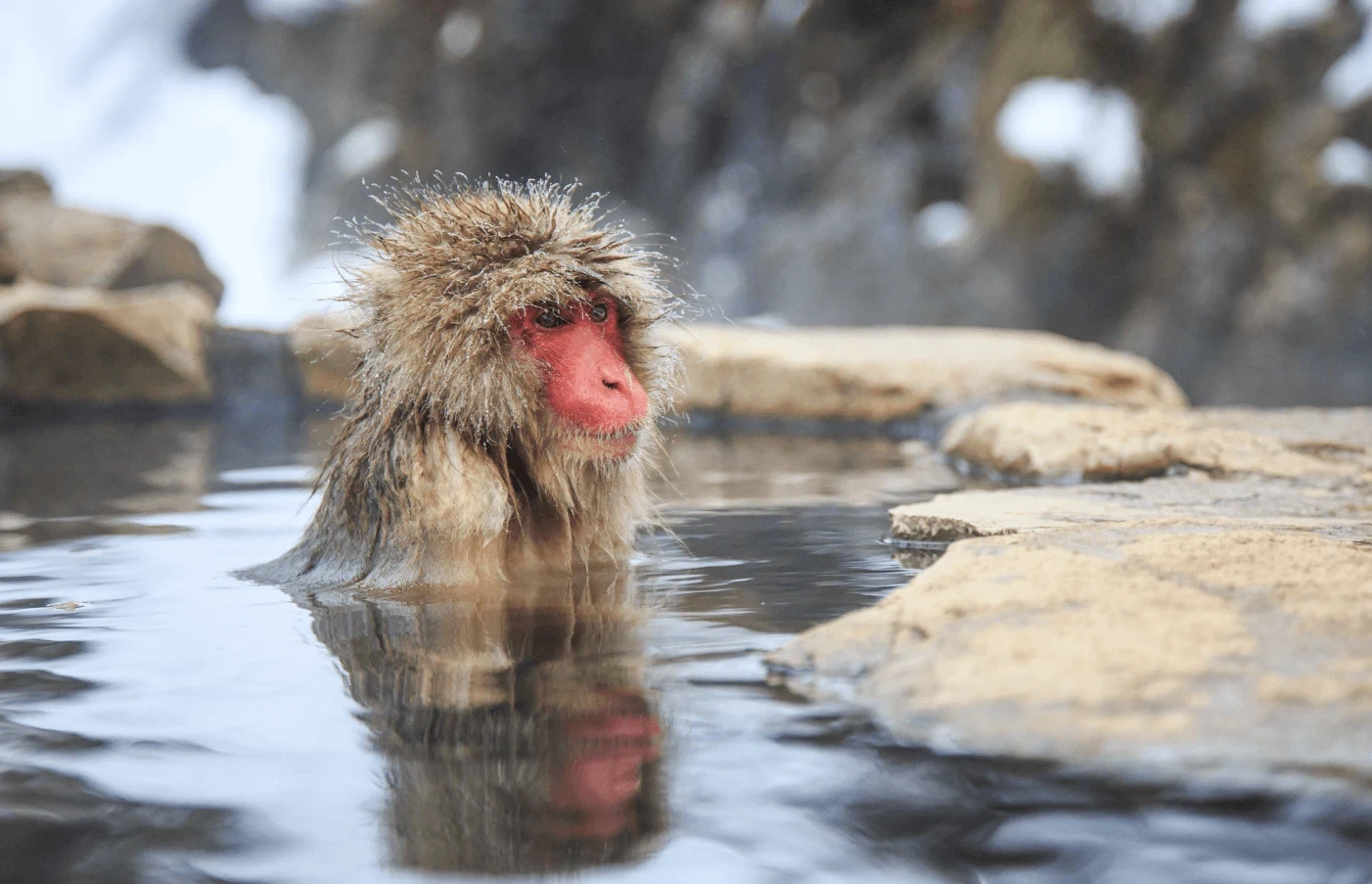 Day 3-4: Nagano Day 3-4: Nagano