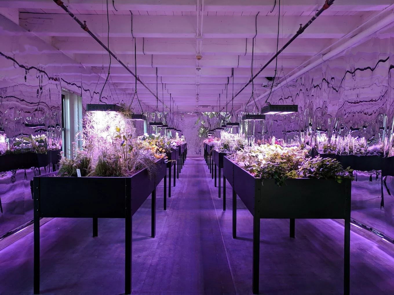 1479568-1576403356 Pittsburgh Gay Culture