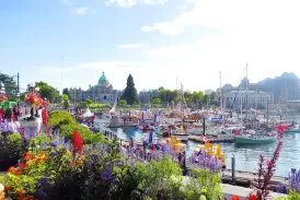 Gay ויקטוריה