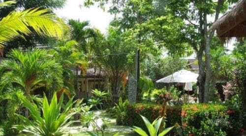 Palm Garden-resort