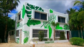 Mangrove Inn