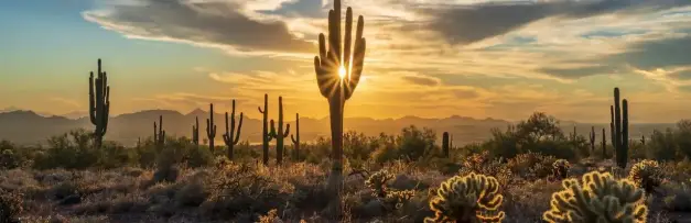AZ