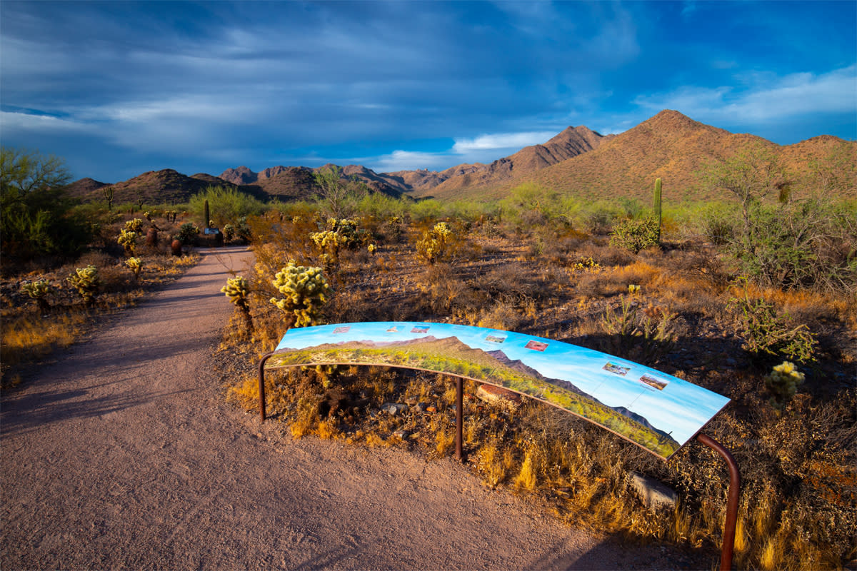 McDowell Sonoran Preserve