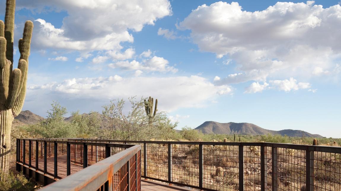 McDowell Sonoran Preserve