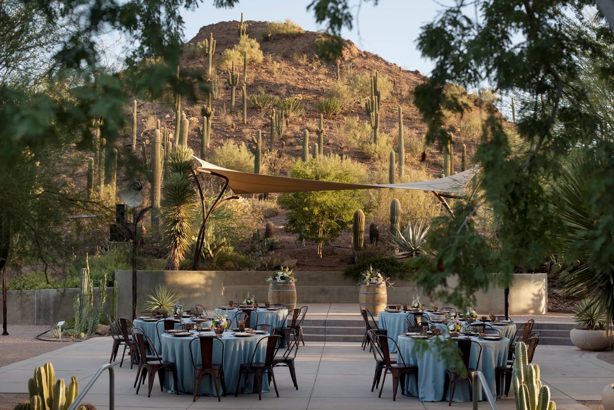 Desert Botanical Garden