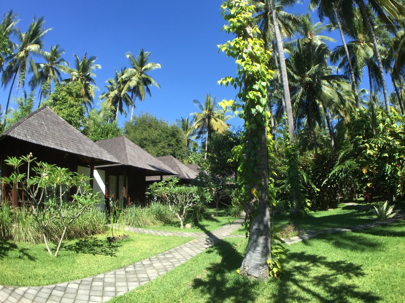 Resort sulla spiaggia di Bali Au Naturel