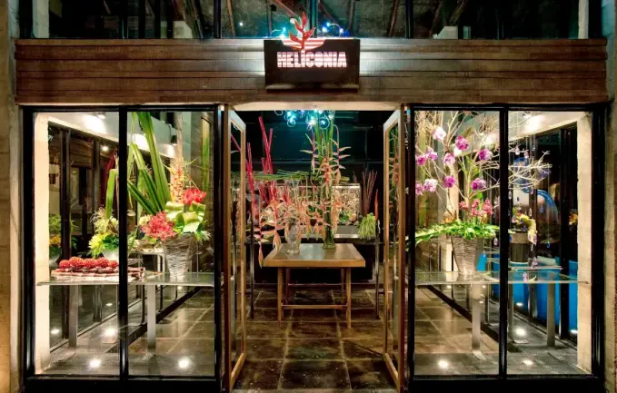 ذا سليت فوكيت