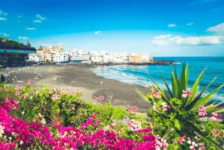 Puerto de la Cruz