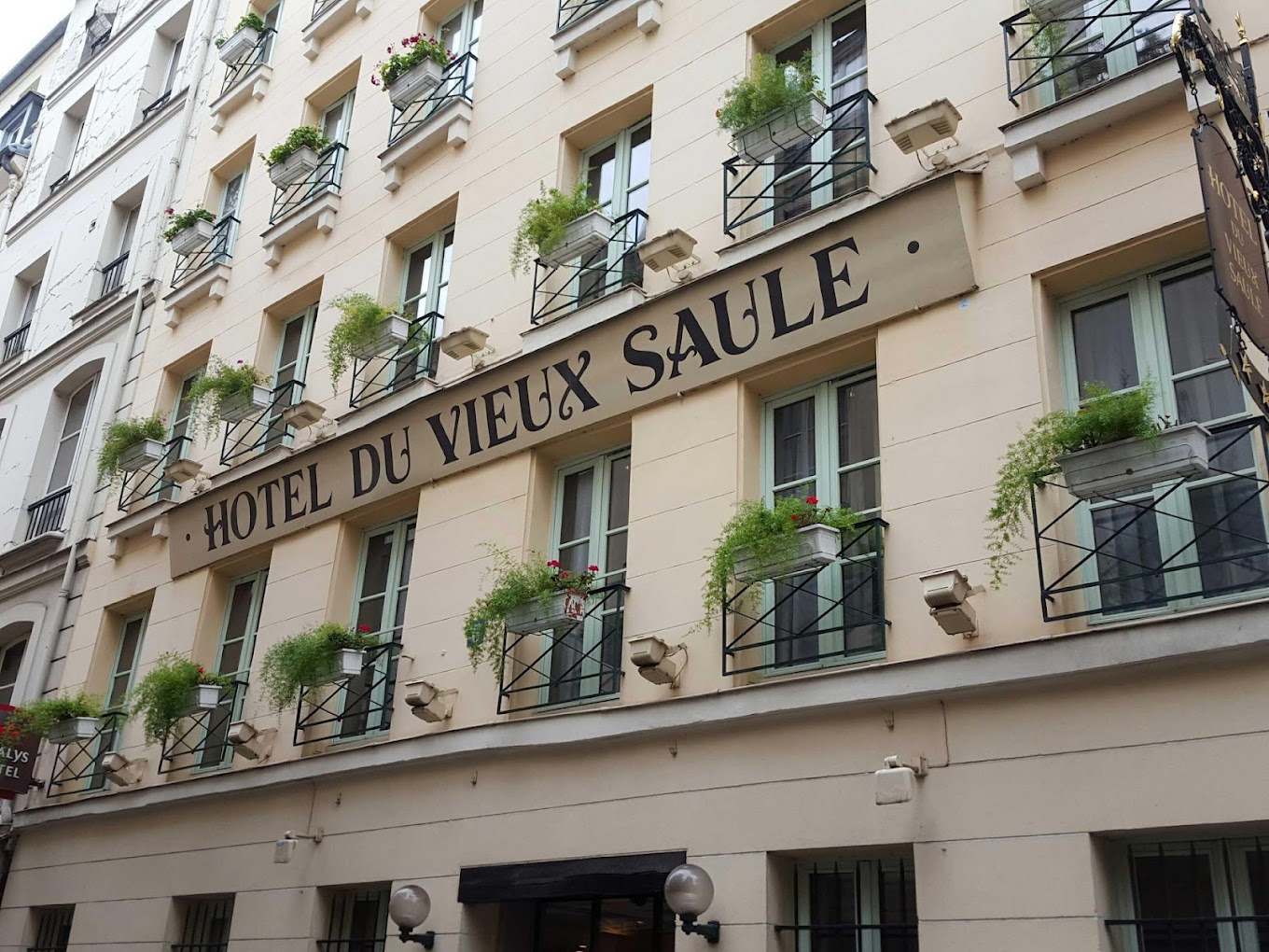 Hotel du Vieux Saulé
