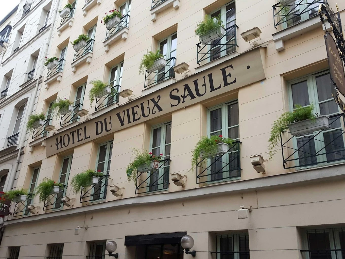 Hotel du Vieux Saule Hotel du Vieux Saule
