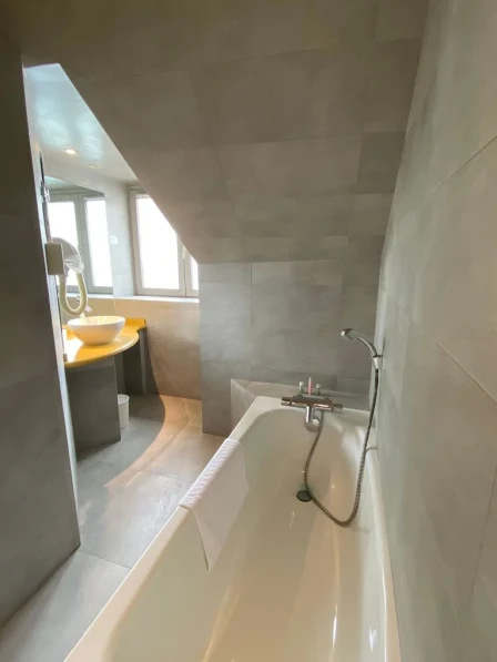 Hotel du Vieux Saule