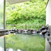 Matsunoyama Onsen Sake Hotel Tamakiya