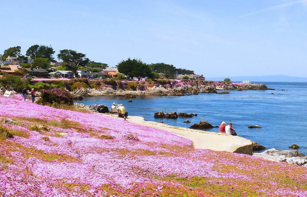 海風旅館及洛德
