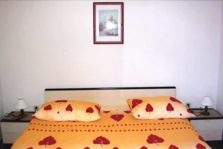 Apartments Vladimir 2836