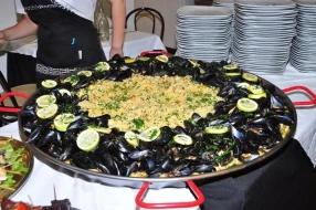 Hotel Star   Cattolica