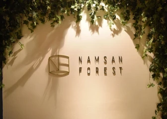 Namsan Forest In Myeongdong
